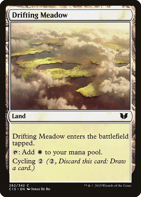 Drifting Meadow, carta Magic di tipo Land illustrata da Jonas De Ro