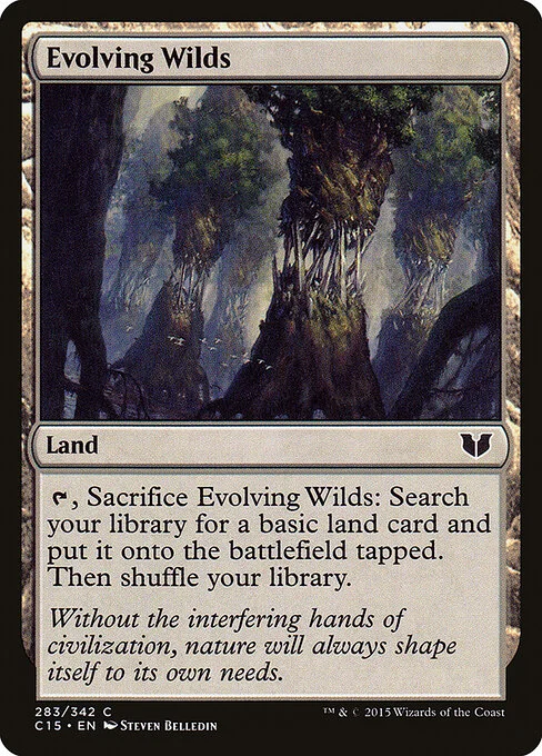 Evolving Wilds, carta Magic di tipo Land illustrata da Steven Belledin