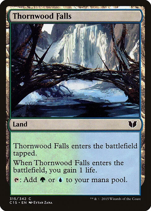 Thornwood Falls, carta Magic di tipo Land illustrata da Eytan Zana