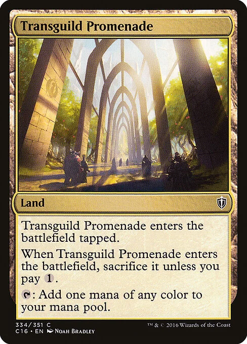 Transguild Promenade, carta Magic di tipo Land illustrata da Noah Bradley