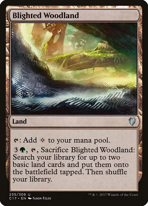 Blighted Woodland, carta Magic di tipo Land illustrata da Jason Felix