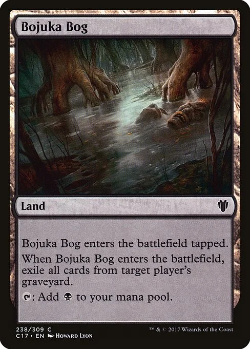Bojuka Bog, carta Magic di tipo Land illustrata da Howard Lyon