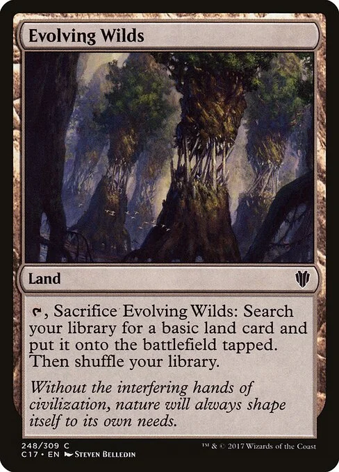 Evolving Wilds, carta Magic di tipo Land illustrata da Steven Belledin