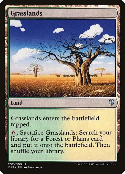 Grasslands, carta Magic di tipo Land illustrata da John Avon