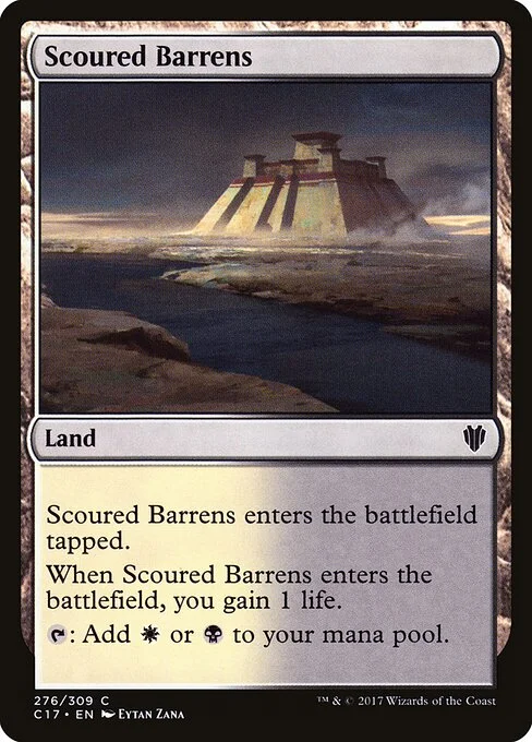 Scoured Barrens, carta Magic di tipo Land illustrata da Eytan Zana