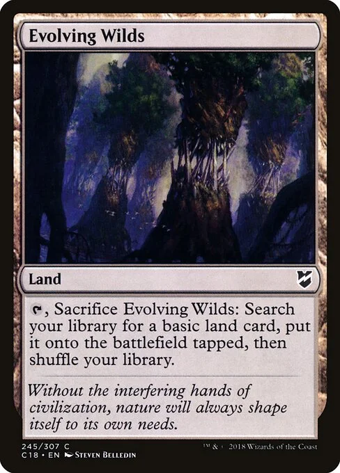 Evolving Wilds, carta Magic di tipo Land illustrata da Steven Belledin