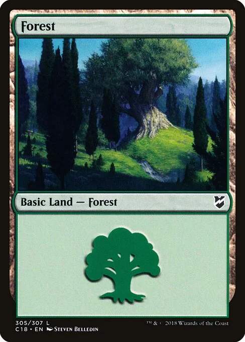 Forest, carta Magic di tipo Basic Land — Forest illustrata da Steven Belledin