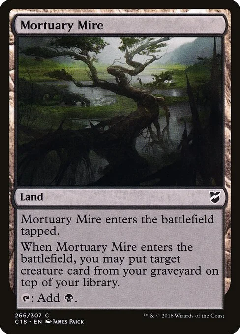 Mortuary Mire, carta Magic di tipo Land illustrata da James Paick