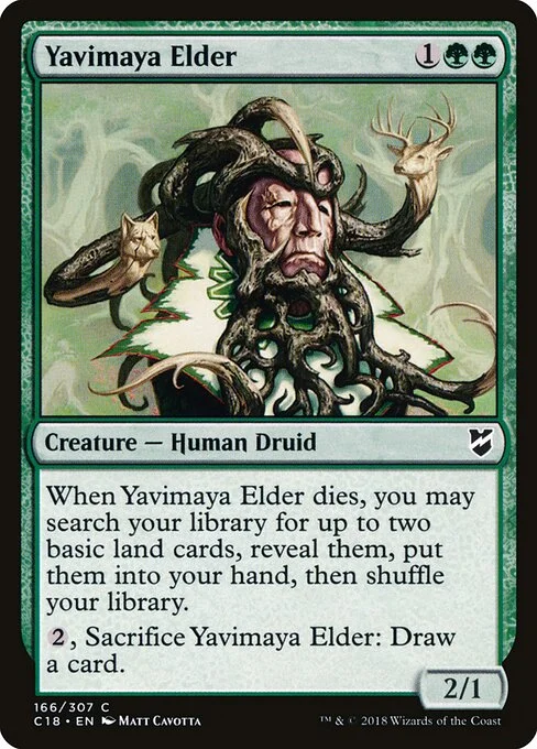 Yavimaya Elder, carta Magic di tipo Creature — Human Druid illustrata da Matt Cavotta