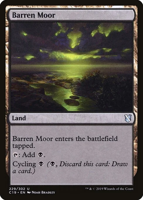 Barren Moor, carta Magic di tipo Land illustrata da Noah Bradley