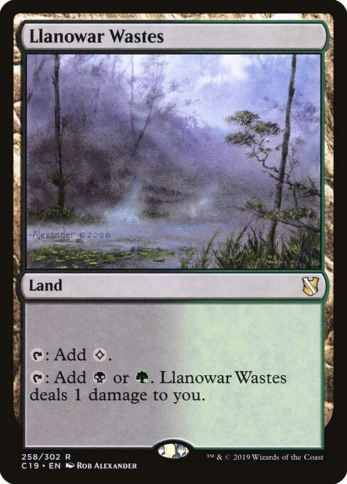 Llanowar Wastes, carta Magic di tipo Land illustrata da Rob Alexander