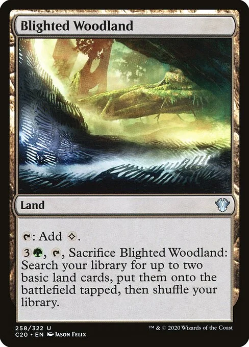 Blighted Woodland, carta Magic di tipo Land illustrata da Jason Felix