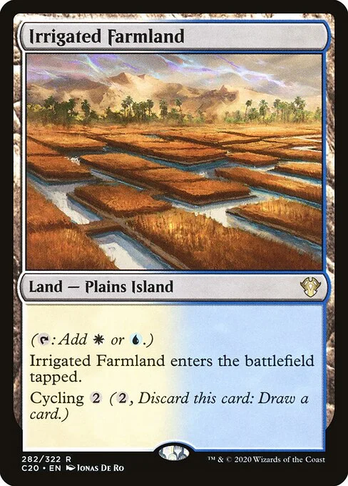 Irrigated Farmland, carta Magic di tipo Land — Plains Island illustrata da Jonas De Ro