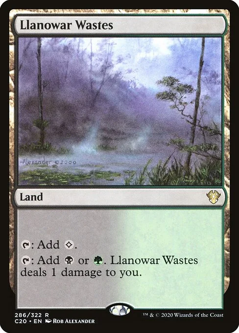 Llanowar Wastes, carta Magic di tipo Land illustrata da Rob Alexander