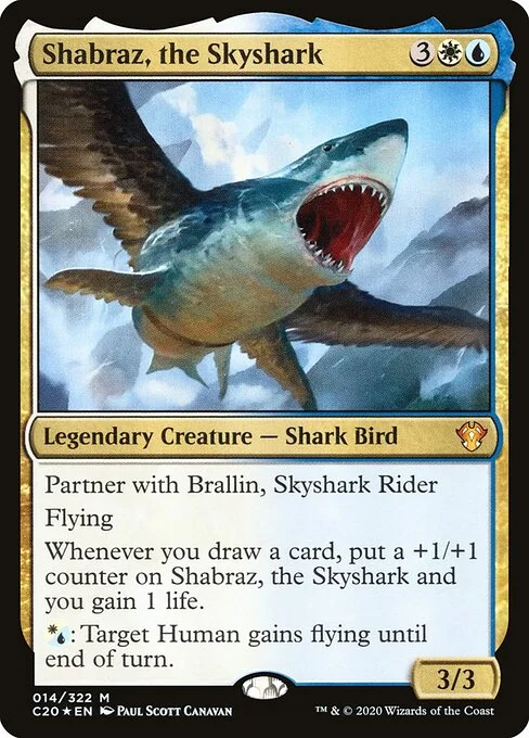 Shabraz, the Skyshark, carta Magic di tipo Legendary Creature — Shark Bird illustrata da Paul Scott Canavan