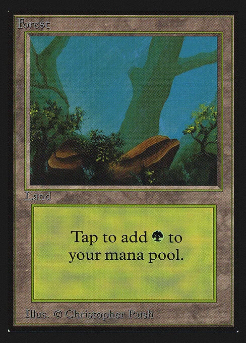 Forest, carta Magic di tipo Basic Land — Forest illustrata da Christopher Rush