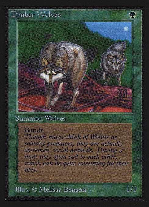 Timber Wolves, carta Magic di tipo Creature — Wolf illustrata da Melissa A. Benson