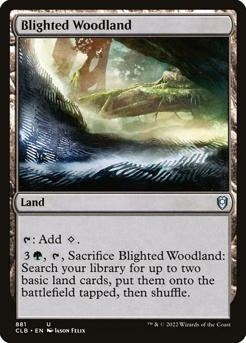 Blighted Woodland, carta Magic di tipo Land illustrata da Jason Felix