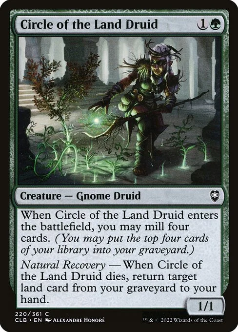 Circle of the Land Druid, carta Magic di tipo Creature — Gnome Druid illustrata da Alexandre Honoré