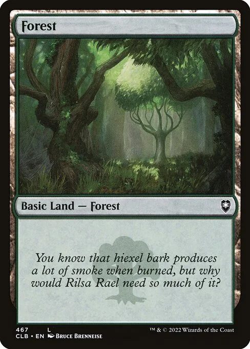 Forest, carta Magic di tipo Basic Land — Forest illustrata da Bruce Brenneise