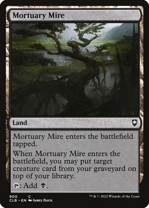 Mortuary Mire, carta Magic di tipo Land illustrata da James Paick