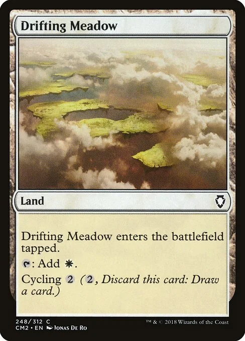 Drifting Meadow, carta Magic di tipo Land illustrata da Jonas De Ro