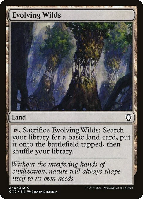 Evolving Wilds, carta Magic di tipo Land illustrata da Steven Belledin