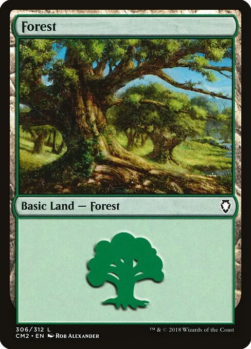 Forest, carta Magic di tipo Basic Land — Forest illustrata da Rob Alexander