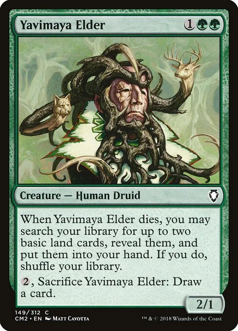 Yavimaya Elder, carta Magic di tipo Creature — Human Druid illustrata da Matt Cavotta