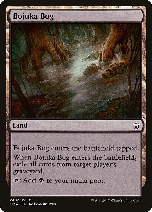 Bojuka Bog, carta Magic di tipo Land illustrata da Howard Lyon