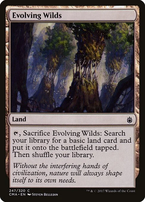 Evolving Wilds, carta Magic di tipo Land illustrata da Steven Belledin