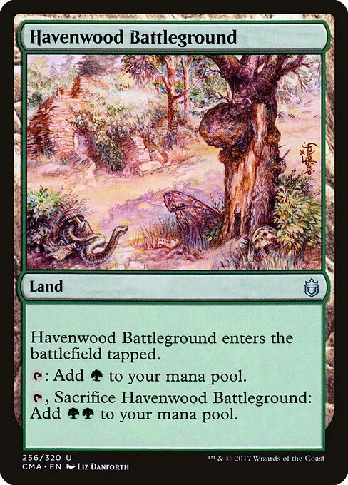 Havenwood Battleground, carta Magic di tipo Land illustrata da Liz Danforth