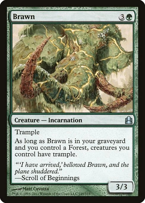 Brawn, carta Magic di tipo Creature — Incarnation illustrata da Matt Cavotta