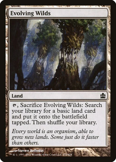 Evolving Wilds, carta Magic di tipo Land illustrata da Steven Belledin