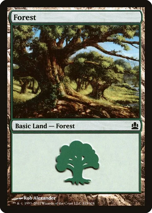 Forest, carta Magic di tipo Basic Land — Forest illustrata da Rob Alexander