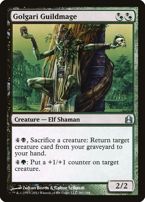 Golgari Guildmage, carta Magic di tipo Creature — Elf Shaman illustrata da Zoltan Boros & Gabor Szikszai