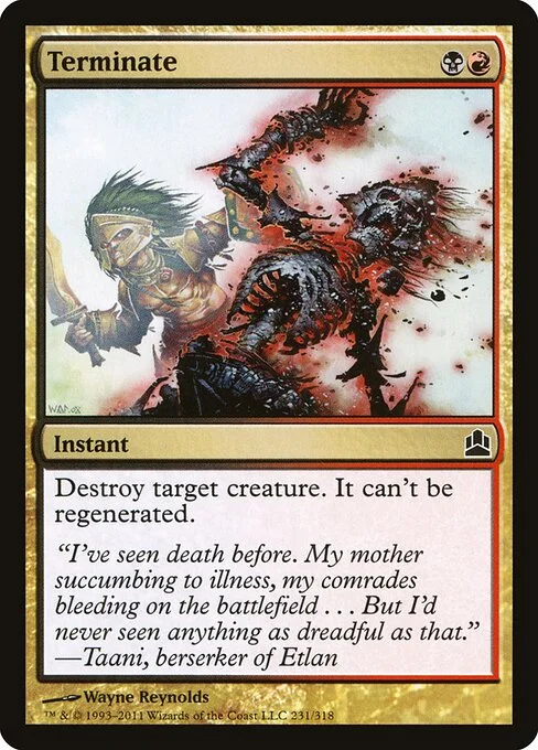 Terminate, carta Magic di tipo Instant illustrata da Wayne Reynolds