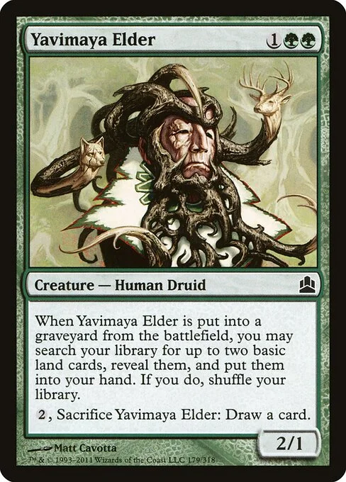 Yavimaya Elder, carta Magic di tipo Creature — Human Druid illustrata da Matt Cavotta