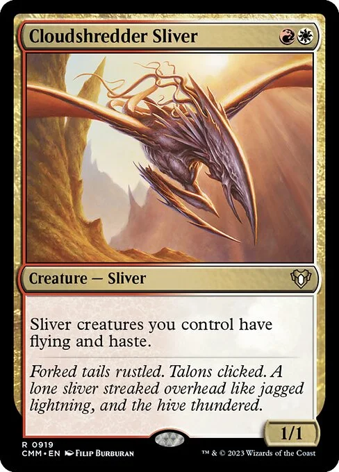 Cloudshredder Sliver, carta Magic di tipo Creature — Sliver illustrata da Filip Burburan