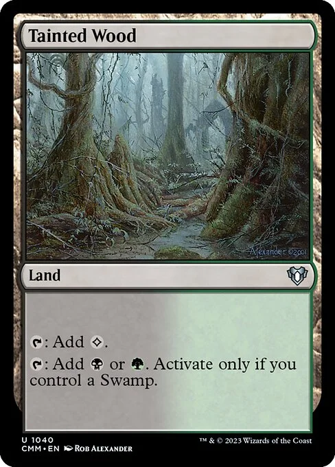 Tainted Wood, carta Magic di tipo Land illustrata da Rob Alexander