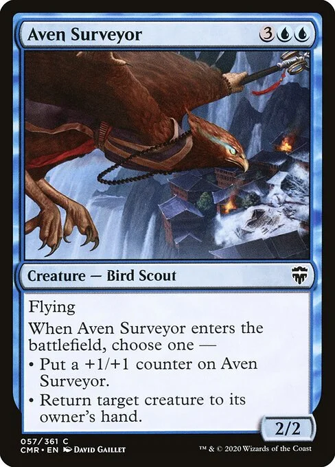 Aven Surveyor, carta Magic di tipo Creature — Bird Scout illustrata da David Gaillet