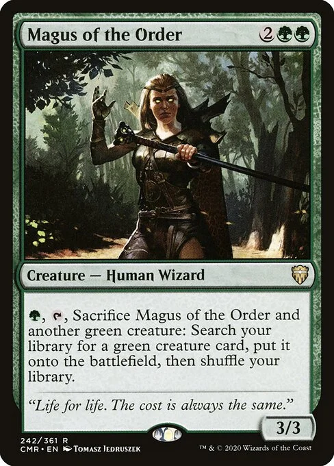 Magus of the Order, carta Magic di tipo Creature — Human Wizard illustrata da Tomasz Jedruszek