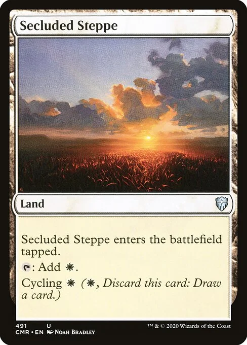 Secluded Steppe, carta Magic di tipo Land illustrata da Noah Bradley