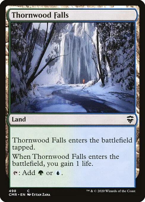 Thornwood Falls, carta Magic di tipo Land illustrata da Eytan Zana
