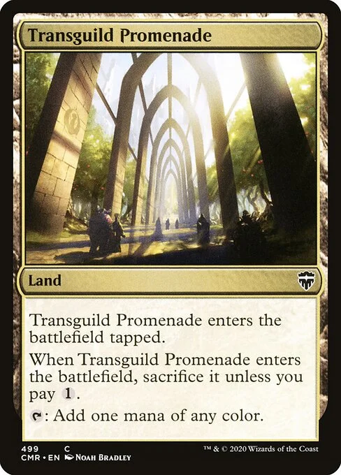 Transguild Promenade, carta Magic di tipo Land illustrata da Noah Bradley