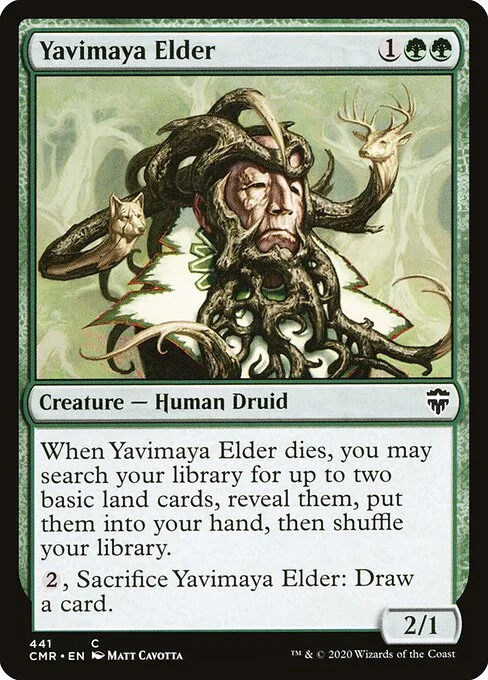 Yavimaya Elder, carta Magic di tipo Creature — Human Druid illustrata da Matt Cavotta