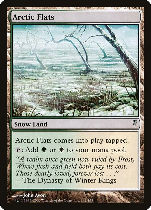 Arctic Flats, carta Magic di tipo Snow Land illustrata da John Avon