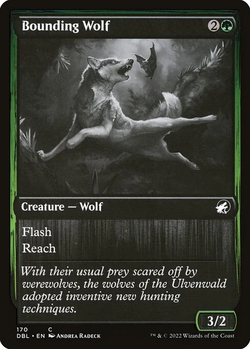 Bounding Wolf, carta Magic di tipo Creature — Wolf illustrata da Andrea Radeck
