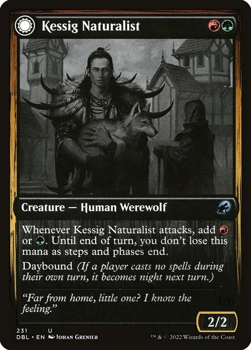 Kessig Naturalist // Lord of the Ulvenwald, carta Magic di tipo Creature — Human Werewolf // Creature — Werewolf illustrata da Johan Grenier