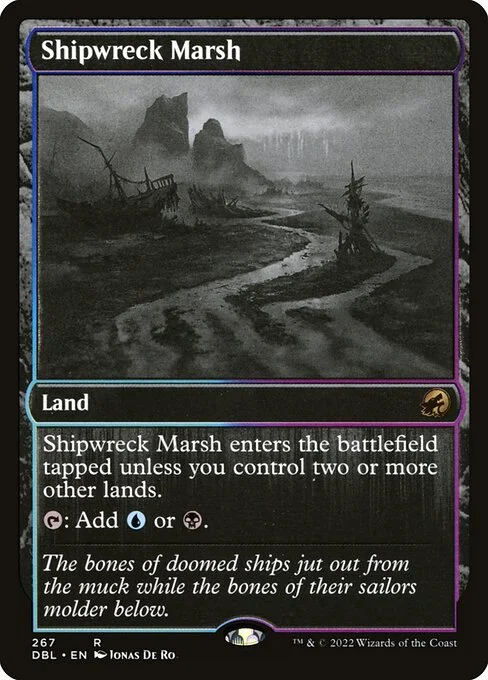 Shipwreck Marsh, carta Magic di tipo Land illustrata da Jonas De Ro